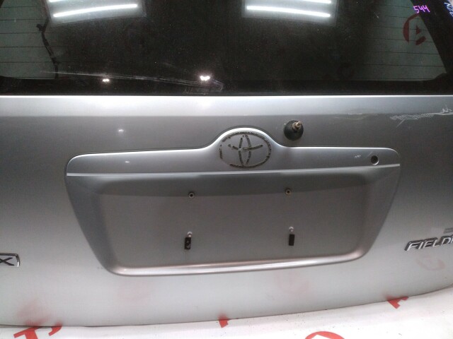 Дверь багажника TOYOTA Corolla Fielder 