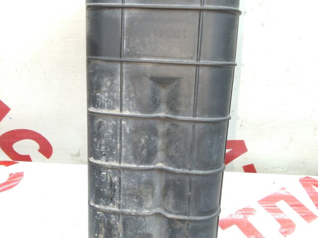 Абсорбер топливный RENAULT Duster 