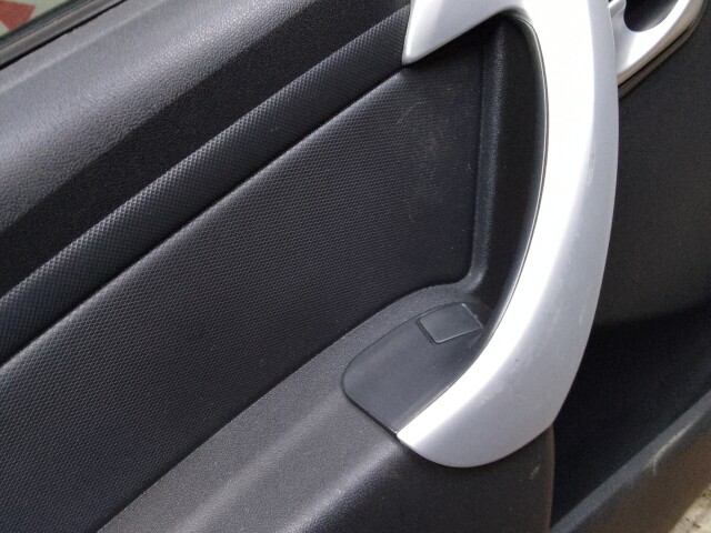 Дверь RENAULT Sandero Stepway 