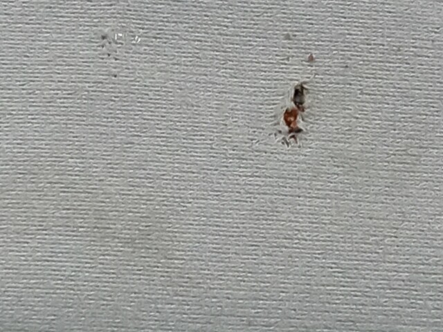 Козырёк TOYOTA Avensis 