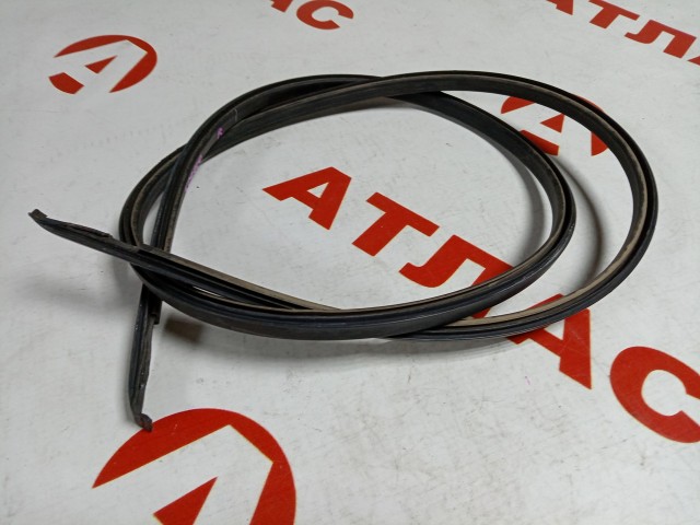 Молдинг крыши TOYOTA Corolla Spacio 