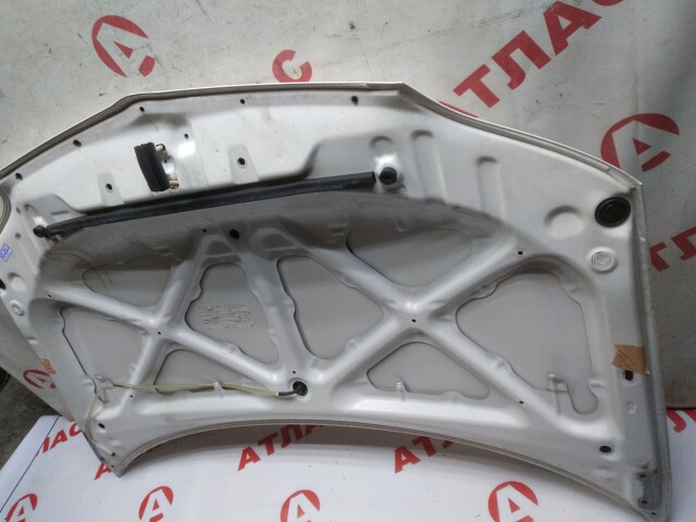 Капот TOYOTA Platz 