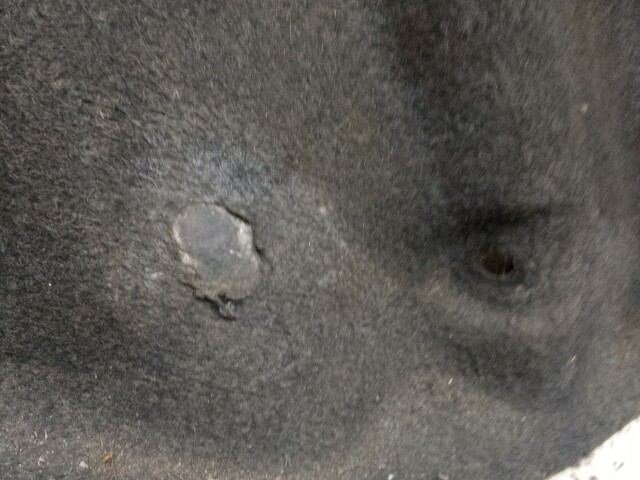 Обшивка багажника TOYOTA Corona Premio 