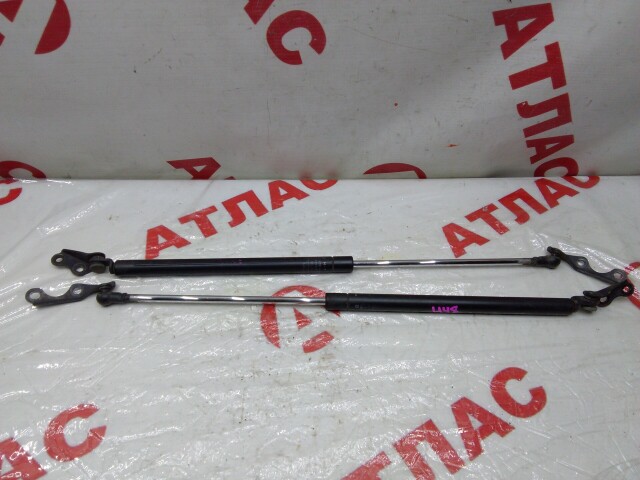 Амортизатор багажника TOYOTA Vitz 