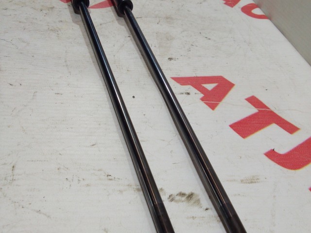 Амортизатор багажника NISSAN Juke 