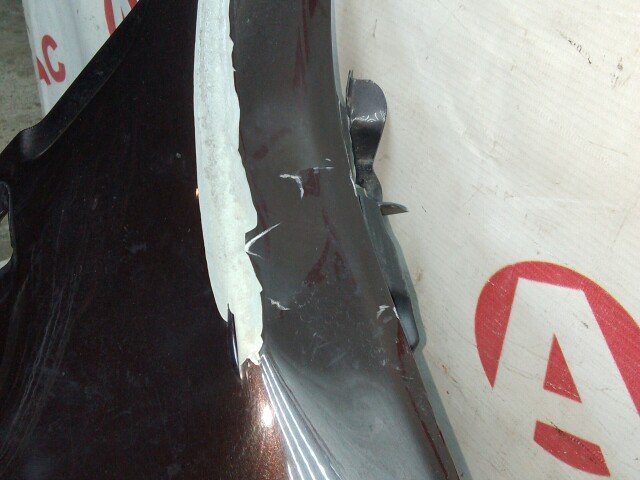 Крыло RENAULT Duster 