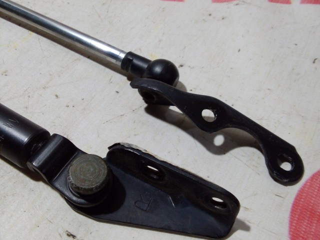 Амортизатор багажника TOYOTA Ist 