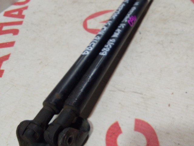 Амортизатор багажника TOYOTA Succeed 