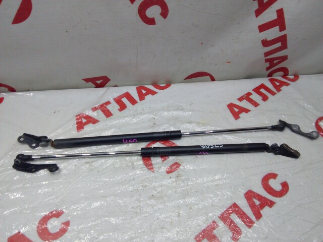 Амортизатор багажника TOYOTA Vitz 