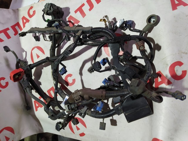 Коса HONDA Accord K20A