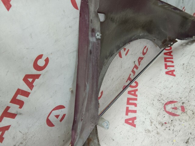 Крыло FORD Focus II 