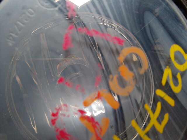 Туманка MITSUBISHI Colt 