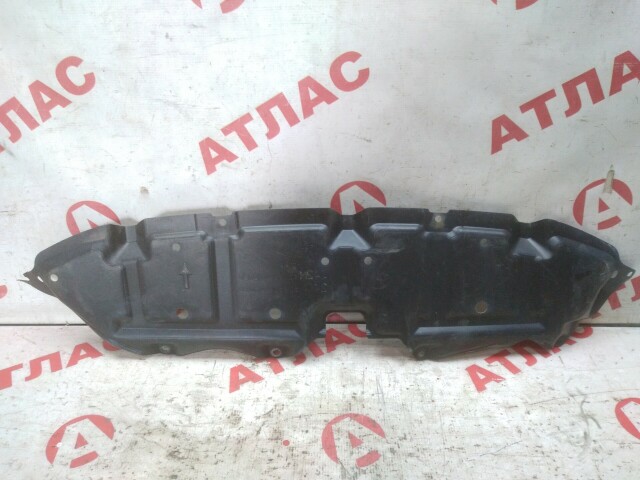 Защита бампера TOYOTA Corolla Runx 