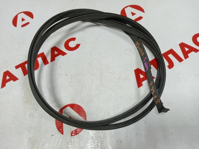Молдинг крыши TOYOTA Probox 