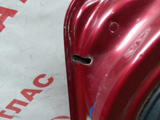 Дверь RENAULT Sandero Stepway 