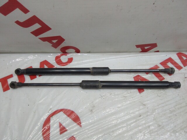 Амортизатор багажника RENAULT Duster 